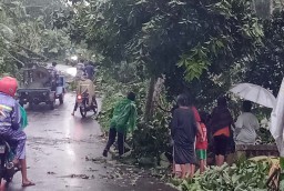 Puting Beliung Terjang 4 Desa di Probolinggo, Belasan Rumah Rusak