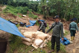 Razia Tambang Emas Ilegal di Banyuwangi Hanya Dapat Penyedot Air