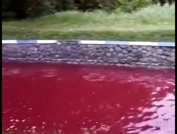 Hii... Air Sungai di Jombang Berwarna Merah Darah