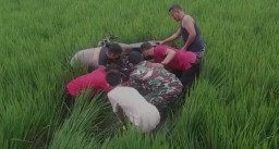 Pilihan Pembaca: Tewas di Sawah, Sirkuit Trail, Cabuli Anak Kandung