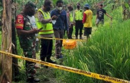 Pilihan Pembaca: Aksi Emak-emak, Tewas Kesetrum, Sopir Serahkan Diri