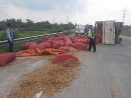 Truk Terguling di Tol Pasuruan, Muatan Kacang Tanah Berhamburan
