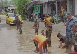 Viral Warga Tangkap Lele di Kubangan Jalan Jombang