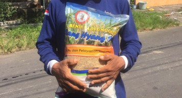 Kadis Pertanian Banyuwangi Melarang Pungutan Bantuan Benih Padi ke Petani