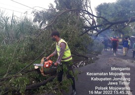 Sejumlah Rumah Rusak dan Pohon Tumbang di Jombang Diterjang Hujan Angin