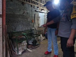 Terima Laporan Animals Hope Shelter, Polres Blitar Gerebek Tempat Jagal Anjing