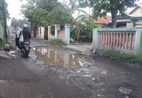 Warga Sambat "Jeglongan Sewu" di Sukodono, Apa Kabar Pejabat Sidoarjo?