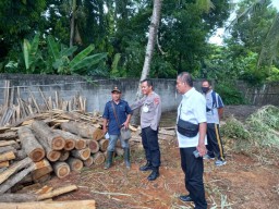 Timbun Kayu Jati Dekat Kandang Sapi, Warga Banyuwangi Diamankan