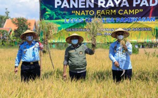 Lapas Pamekasan Panen Raya Padi hingga Jual 8000 Paving Blok Karya WBP