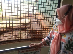 Covid-19 Mereda, Pengelola Wisata di Lamongan Bersiap Sambut Lonjakan Pengunjung