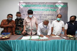 PT Agro Tani Sukses Sejahtera Bawa Kabar Baik untuk Petani Kacang Hijau Gresik