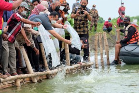 Pemkot Izinkan Lahan Mangkrak di Surabaya Dikelola MBR
