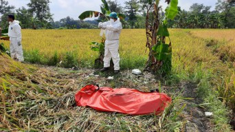 Hendak Panen Padi, Petani di Pasuruan Temukan Mayat Pria