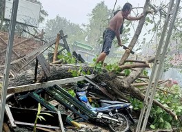 Pohon Tumbang Timpa Tiga Motor dan Warung Bakso di Mojokerto