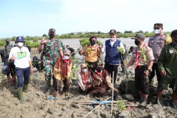Diproyeksikan Jadi Ekowisata, Reboisasi di Pesisir Lamongan Digalakkan