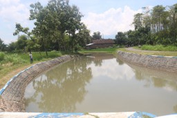 DLH Belum Bisa Pastikan Penyebab Air Sungai Berwarna Merah di Jombang