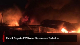 Video: Pabrik Sepatu CV Sweet Seventeen Terbakar