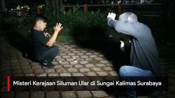 Video: Misteri Kerajaan Siluman Ular di Sungai Kalimas Surabaya