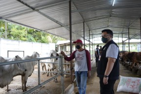 Mas Dhito Apresiasi Keberhasilan Kelompok Tani Mengolah Limbah Sapi