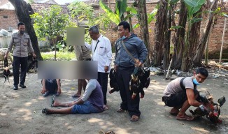Arena Judi Sabung Ayam di Rejosopinggir, Jombang Digerebek Polisi