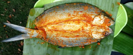 Lezatnya Berbuka Puasa dengan Bandeng Bakar Bungkus Daun Pisang