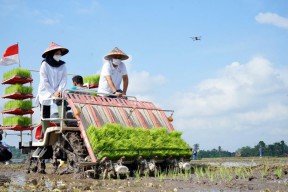 Banyuwangi Kembali Bikin Jagoan Tani, Anak Muda Dimodali Ratusan Juta Rupiah