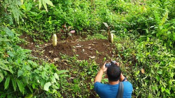 Ditemukan Makam Misterius Dalam Hutan, Warga Jatirejo Mojokerto Geger