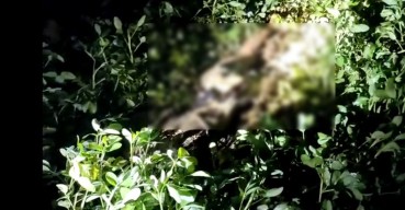 Mayat Telanjang di Bangkalan Belum Teridentifikasi, Polisi Lakukan Otopsi