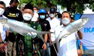 Menteri Kelautan dan Perikanan Kunjungi Kampung Bandeng Pangkah Wetan Gresik