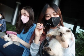 Pet Lovers, Ini Tips Mengajak Hewan Peliharaan saat Mudik Lebaran