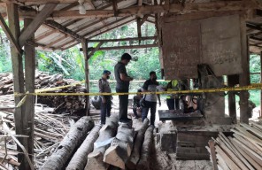 Pemuda di Banyuwangi Tewas Tersambar Gergaji Mesin, Diduga Bunuh Diri