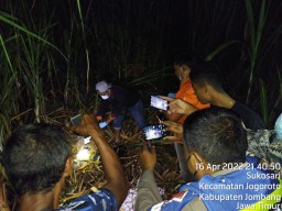 Dua Minggu Hilang, Warga Jombang Ditemukan Tewas di Kebun Tebu