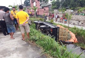 Mobil Pikap Bermuatan Nanas Terbaik dalam Parit di Kediri