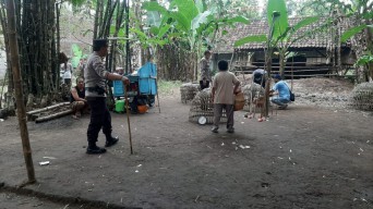 Penggerebekan Bocor, Pelaku Judi Sabung Ayam di Mojokerto Berhasil Kabur