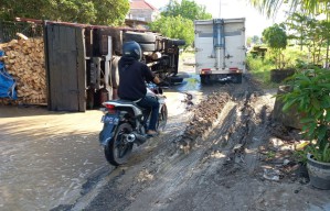 Gagal Lintasi Jalanan Rusak di Sukodadi Lamongan, Truk Muatan Kayu Terguling