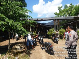 Arena Judi Sabung Ayam di Sumberkolak, Situbondo Digerebek Polisi