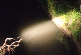 DLH Duga Bau Air Saluran Pertanian di Jabon, Jombang Seperti Limbah Usus
