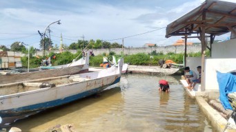Terdampak Banjir Rob, Warga Pesisir Lamongan Mulai Keluhkan Ini