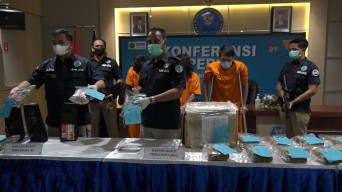 BNNP Jatim Gagalkan Jual Beli 16,9 Kg Ganja Melalui Medsos, 1 Tersangka Ditembak