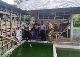 Pamit Ambil Mainan, Balita 2 Tahun di Tulungagung Tewas Tercebur Kolam Ikan