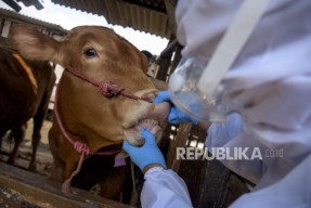 Kementan Perketat Pengawasan Hewan Kurban Jelang Idul Adha