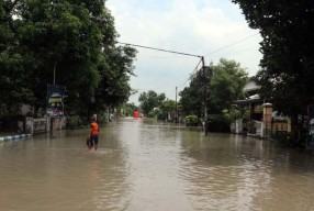 Bocah 6 Tahun di Gresik Digigit Ular saat Bermain Air Banjir Rob
