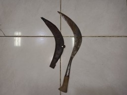 Sempat Acungkan Celurit, Pelaku Pembunuhan di Probolinggo Ditembak Polisi