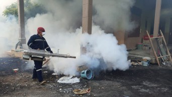 Kasus Demam Berdarah di Kota Probolinggo Meningkat, 3 Pasien Meninggal