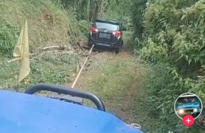 Viral, Misteri Mobil Tersesat di Kebun Jeruk Gegara Ikuti Google Maps