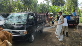 Wabah PMK Sapi di Kediri, Pasar Hewan Jadi Sasaran Penyemprotan Disinfektan