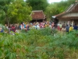Warga Sampang Diduga Tersetrum Listrik Hingga Tewas Saat Tebang Pohon