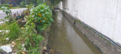 Hasil Lab Keluar, DLH Jombang Pastikan Air di Saluran Gatsu Tercemar Limbah