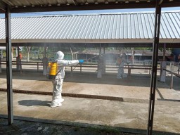 Cegah PMK, RPH hingga Pasar Hewan di Lamongan Disemprot Disinfektan