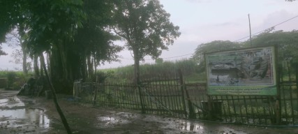 Muncul Saat Dirituali, Begini Kisah Penampakan Penunggu Situs Sumberbeji Jombang